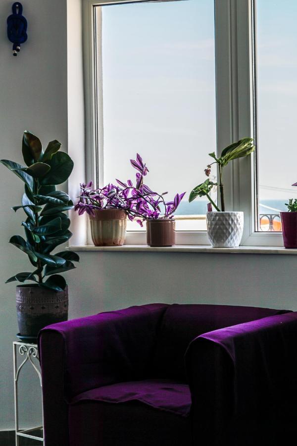 Vila Gladiola Eforie Nord Dış mekan fotoğraf